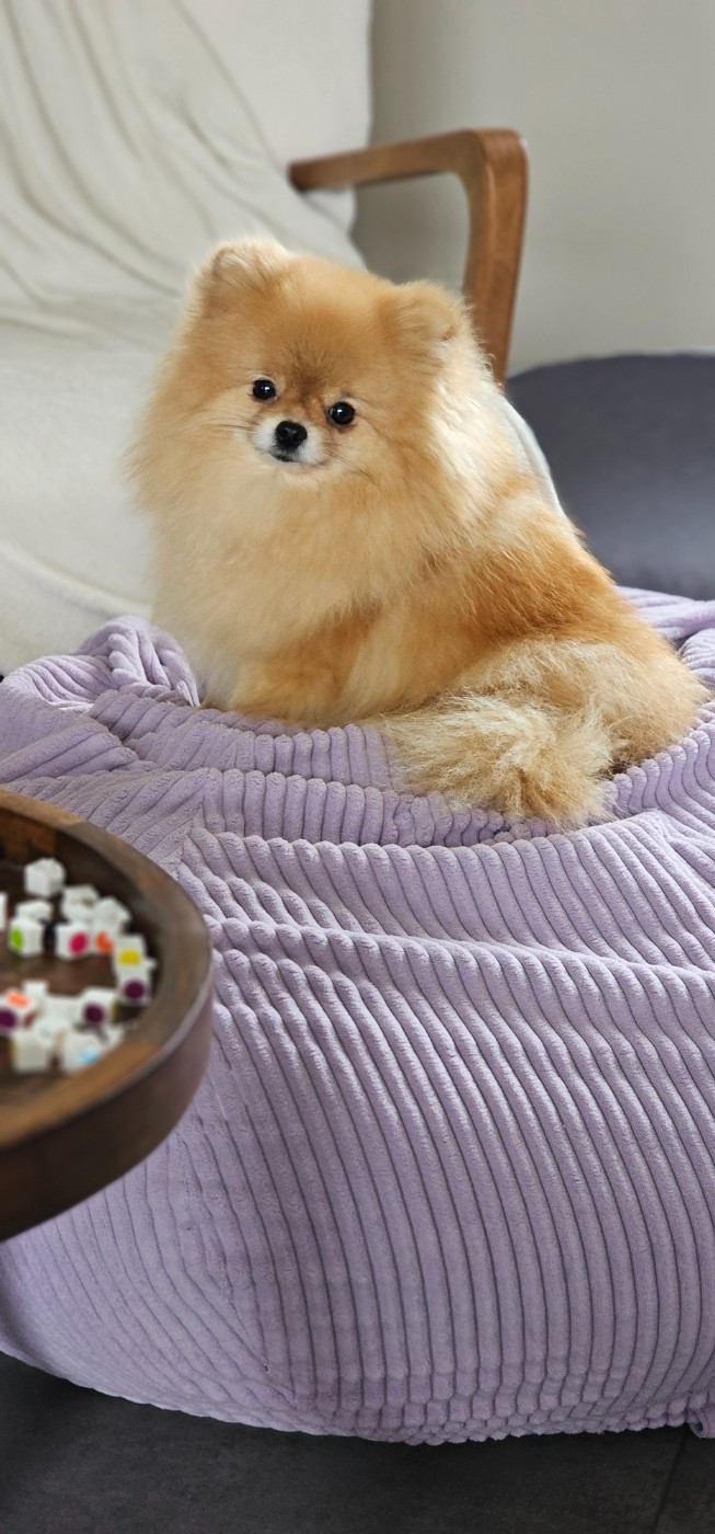 Uguette du domaine de l'écluse